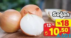 SOĞAN KG fiyat ve kampanya bilgisi